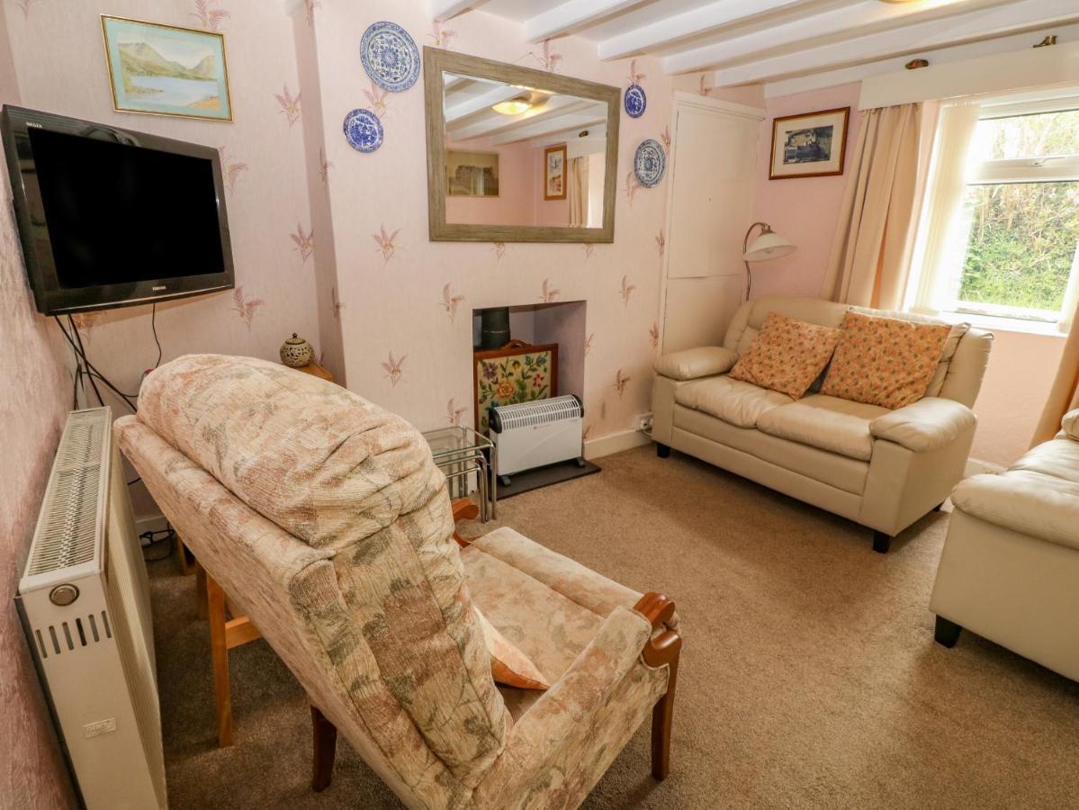 Tir Bedw Villa Ederyn Екстериор снимка