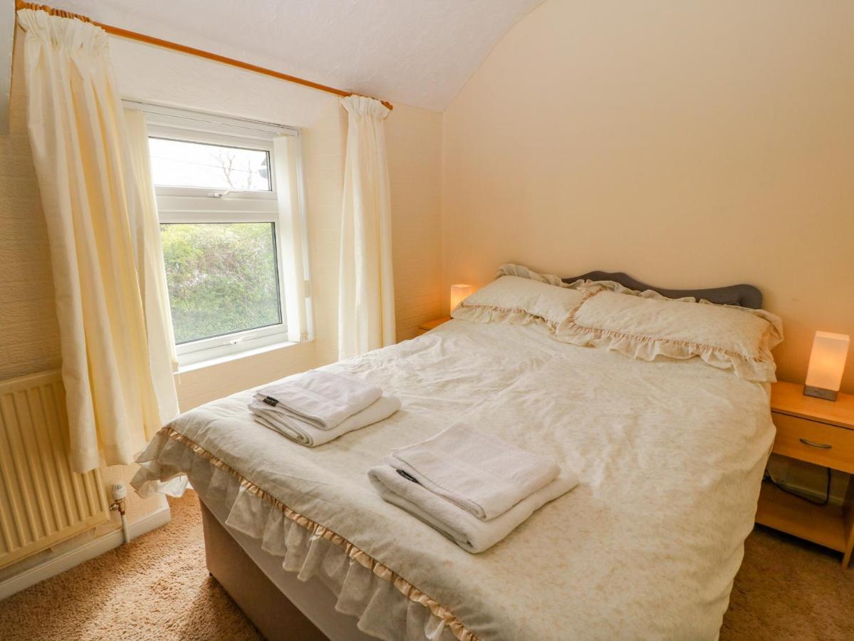 Tir Bedw Villa Ederyn Екстериор снимка